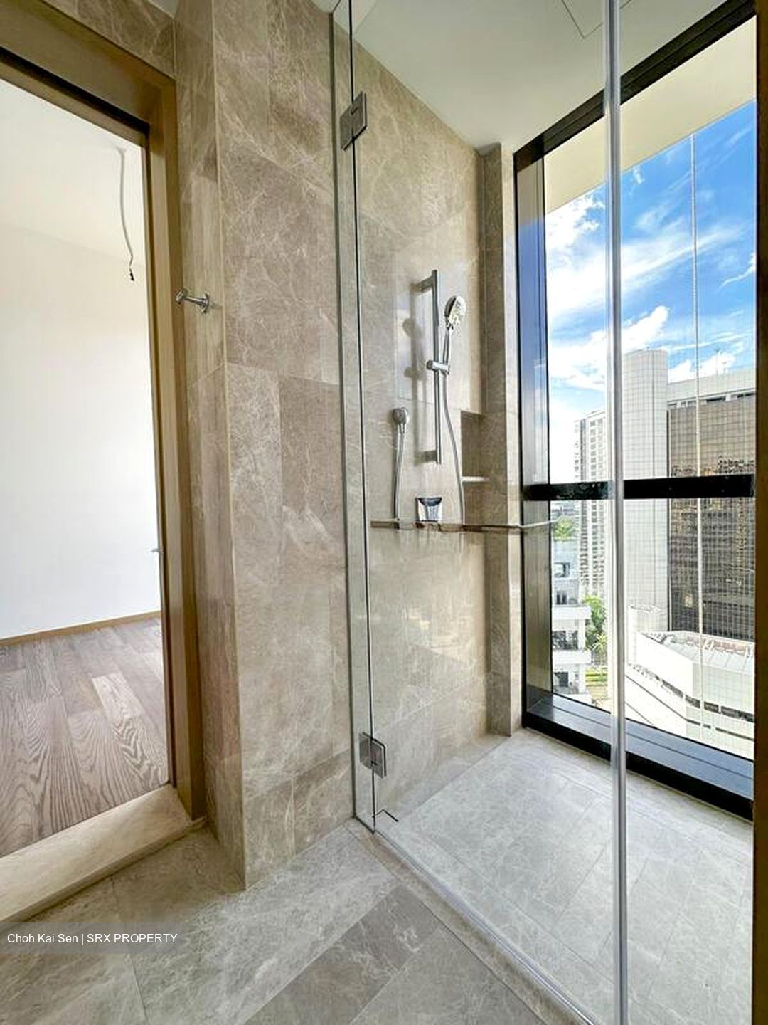 Klimt Cairnhill (D9), Apartment #497499871